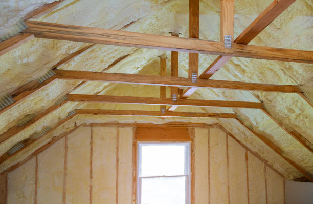 Best Residential Insulation Services  in Kenai, AK