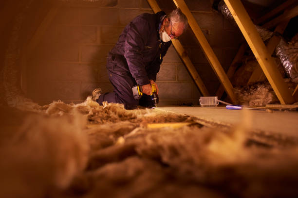 Best Local Insulation Services  in Kenai, AK
